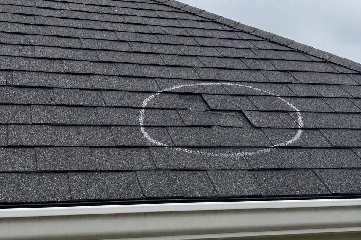 Sample roof Evidence showing a marked area of shingle damage